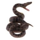 Realistic Science Plastic Animal Model Figure Python Figurine Children Kids Educational Toy Home Decoration Collectibles Kids Story Telling Props