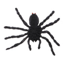 Realistic Science Plastic Animal Model Figure Brazilian White Spider Figurine Children Kids Educational Toy Home Decoration Collectibles Kids Story Telling Props