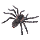 Realistic Science Plastic Animal Model Figure Brazilian White Spider Figurine Children Kids Educational Toy Home Decoration Collectibles Kids Story Telling Props