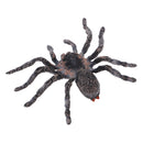 Realistic Science Plastic Animal Model Figure Brazilian White Spider Figurine Children Kids Educational Toy Home Decoration Collectibles Kids Story Telling Props