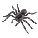 Realistic Science Plastic Animal Model Figure Brazilian White Spider Figurine Children Kids Educational Toy Home Decoration Collectibles Kids Story Telling Props