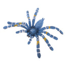 Realistic Science Plastic Animal Model Figure Brazilian Blue Spider Figurine Children Kids Educational Toy Home Decoration Collectibles Kids Story Telling Props
