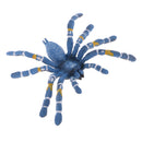 Realistic Science Plastic Animal Model Figure Brazilian Blue Spider Figurine Children Kids Educational Toy Home Decoration Collectibles Kids Story Telling Props