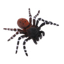 Realistic Science Plastic Animal Model Figure Brazilian Red Spider Figurine Children Kids Educational Toy Home Decoration Collectibles Kids Story Telling Props