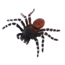 Realistic Science Plastic Animal Model Figure Brazilian Red Spider Figurine Children Kids Educational Toy Home Decoration Collectibles Kids Story Telling Props