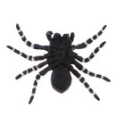 Realistic Science Plastic Animal Model Figure Brazilian Red Spider Figurine Children Kids Educational Toy Home Decoration Collectibles Kids Story Telling Props