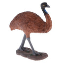 Realistic Science Plastic Animal Model Figure Ostrich Figurine Children Kids Educational Toy Home Decoration Collectibles Kids Story Telling Props