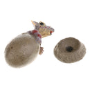 Lifelike Dinosaur Animal Model Figure Figurine Toy Jurassic Triceratops Egg and Shell Model Children Birthday/Chrismas Gift Collectibles Home Decoration