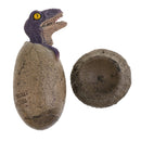 Lifelike Dinosaur Animal Model Figure Figurine Toy Jurassic Velociraptor Egg and Shell Model Children Birthday/Chrismas Gift Collectibles Home Decoration