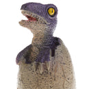 Lifelike Dinosaur Animal Model Figure Figurine Toy Jurassic Velociraptor Egg and Shell Model Children Birthday/Chrismas Gift Collectibles Home Decoration