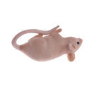 Mini Plastic Simulation Mouse Animal Model Toy Action Figure Figurine Children Kids Educational Toys Collectables Chrismas Gift