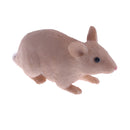 Mini Plastic Simulation Mouse Animal Model Toy Action Figure Figurine Children Kids Educational Toys Collectables Chrismas Gift