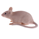 Mini Plastic Simulation Mouse Animal Model Toy Action Figure Figurine Children Kids Educational Toys Collectables Chrismas Gift