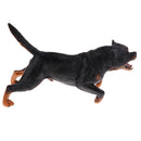 Simulation Wildlife Animal Model Rottweiler Dog Pet Action Figures Kid Educational Toy Home Collectibles Decoration