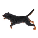 Simulation Wildlife Animal Model Rottweiler Dog Pet Action Figures Kid Educational Toy Home Collectibles Decoration