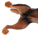 Simulation Wildlife Animal Model Rottweiler Dog Pet Action Figures Kid Educational Toy Home Collectibles Decoration