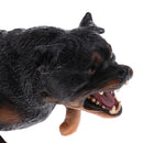 Simulation Wildlife Animal Model Rottweiler Dog Pet Action Figures Kid Educational Toy Home Collectibles Decoration
