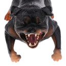 Simulation Wildlife Animal Model Rottweiler Dog Pet Action Figures Kid Educational Toy Home Collectibles Decoration
