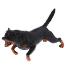 Simulation Wildlife Animal Model Rottweiler Dog Pet Action Figures Kid Educational Toy Home Collectibles Decoration