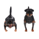 Simulation Wildlife Animal Model Rottweiler Dog Pet Action Figures Kid Educational Toy Home Collectibles Decoration