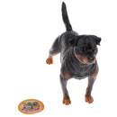 Realistic Simulation Rottweiler Dog Pet Animal Model Action Figure Figurine Nature Toys Decoration Collectibles B