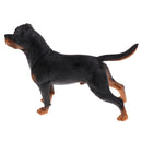Realistic Simulation Rottweiler Dog Pet Animal Model Action Figure Figurine Nature Toys Decoration Collectibles B