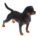 Realistic Simulation Rottweiler Dog Pet Animal Model Action Figure Figurine Nature Toys Decoration Collectibles B