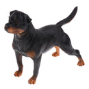 Realistic Simulation Rottweiler Dog Pet Animal Model Action Figure Figurine Nature Toys Decoration Collectibles B