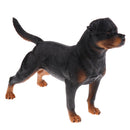 Realistic Simulation Rottweiler Dog Pet Animal Model Action Figure Figurine Nature Toys Decoration Collectibles B