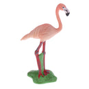 Lifelike Simulation Jungle Widlife Flamingo Bird Animals Model Figurine Kids Action Figure Science Nature Toys Home Decoration Props - A
