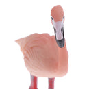 Lifelike Simulation Jungle Widlife Flamingo Bird Animals Model Figurine Kids Action Figure Science Nature Toys Home Decoration Props - A
