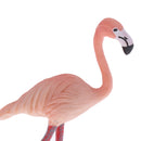 Lifelike Simulation Jungle Widlife Flamingo Bird Animals Model Figurine Kids Action Figure Science Nature Toys Home Decoration Props - A