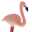 Simulation Wildlife Jungle Flamingo Bird Animal Model Action Figures Toys Kid Educational Toy Home Office Collectibles Decoration - C