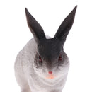 Realistic Plastic Animal Model Figure Rabbit Model Figurine Kids Toy Both Indoor/Outdoor Play Home Office Decoration Birthday Gift