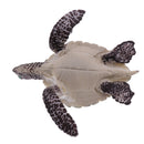 Realistic Science Plastic Animal Tortoise Model Figure Turtle Figurine Children Kids Educational Toy Decoration Collectibles Kids Story Telling Props