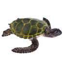Realistic Science Plastic Animal Tortoise Model Figure Turtle Figurine Children Kids Educational Toy Decoration Collectibles Kids Story Telling Props