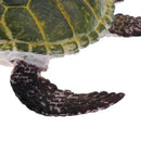 Realistic Science Plastic Animal Tortoise Model Figure Turtle Figurine Children Kids Educational Toy Decoration Collectibles Kids Story Telling Props