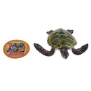 Realistic Science Plastic Animal Tortoise Model Figure Turtle Figurine Children Kids Educational Toy Decoration Collectibles Kids Story Telling Props