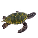 Realistic Science Plastic Animal Tortoise Model Figure Turtle Figurine Children Kids Educational Toy Decoration Collectibles Kids Story Telling Props