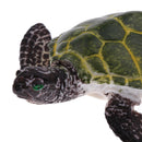 Realistic Science Plastic Animal Tortoise Model Figure Turtle Figurine Children Kids Educational Toy Decoration Collectibles Kids Story Telling Props