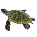 Realistic Science Plastic Animal Tortoise Model Figure Turtle Figurine Children Kids Educational Toy Decoration Collectibles Kids Story Telling Props