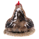 Fun Animated Chicken Hen Lay Egg on Nest Animal Figurine Model Figure Kids Toy Home Decor 7inch