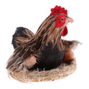 Animated Chicken Hen Hatching Eggs on Nest Animal Figurine Model Home Farm Decoration Kids Play Toys Gifts S