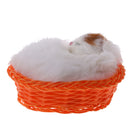 Simulation Horse Farm/Yard Animal Model Action Figure Kids Educational Toy Collectibles - Cat in Basket
