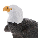 Realistic PVC Animal Bird Model Figurine Action Figures Playset Kids Educational Toy Collectibles Â–Bald Eagle