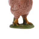 Realistic PVC Farm Animal Poultry Model Figurine Action Figures Playset Kids Educational Toy Collectibles Â–Cock