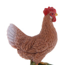 Realistic PVC Farm Animal Poultry Model Figurine Action Figures Playset Kids Educational Toy Collectibles Â–Cock
