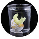 6 Pieces Crack Dinosaur Eggs Hatching Toy with Mini Dinosaur Figures Inside - B