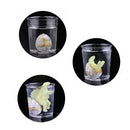 6 Pieces Crack Dinosaur Eggs Hatching Toy with Mini Dinosaur Figures Inside - B