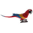 Plastic Realistic Wildlife Jungle Forest Animals Parrot Action Figure Toys Playset, Eduactional Toys For Kids Toddler Collectibles